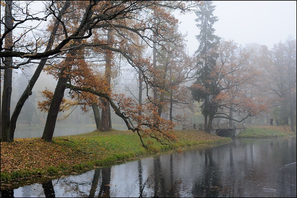 Misty