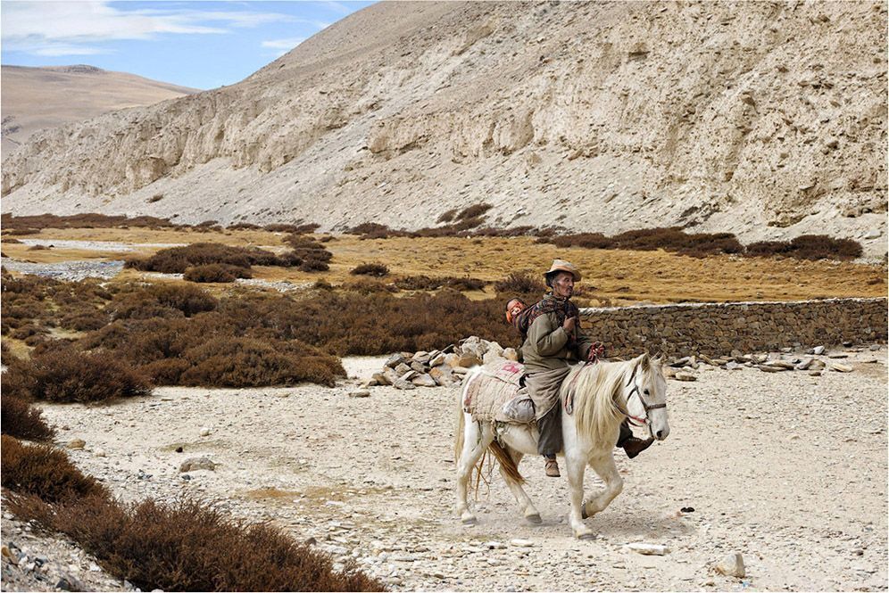 Ladakh. India.