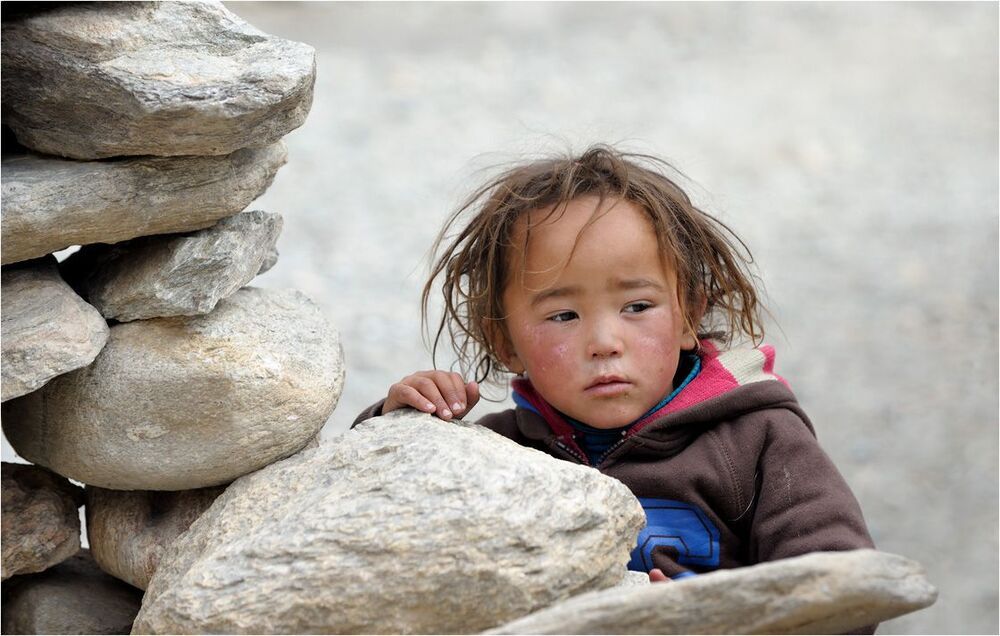 Small tibetan.