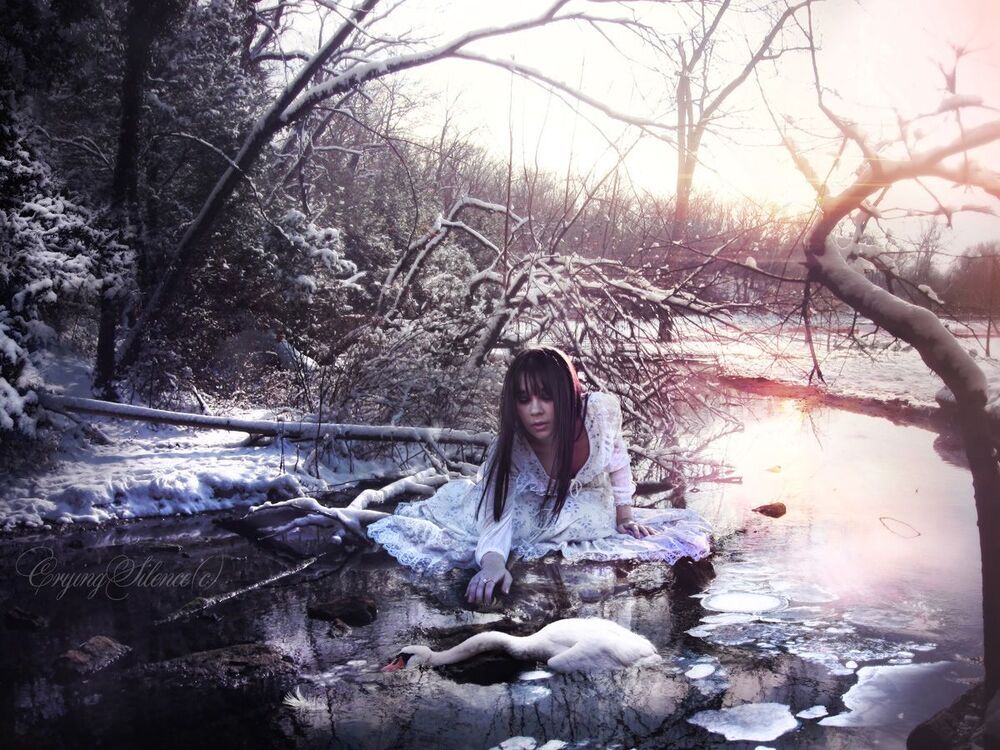 "Frozen heart"
(Другой вариант) -http://cryingsilence.gallery.ru/watch?ph=Q2W-dFTk1

(До и после)- http://cryingsilence.gallery.ru/watch?ph=Q2W-dFR8L