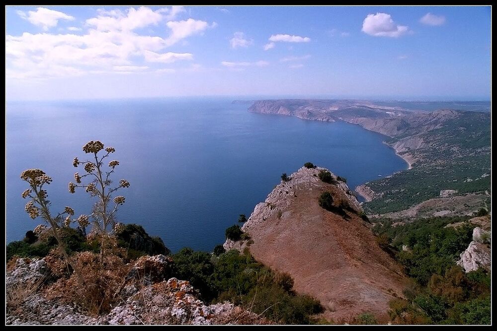 Под щедрым солнцем Крыма