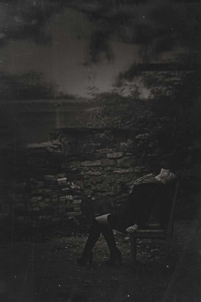 Photo 310383