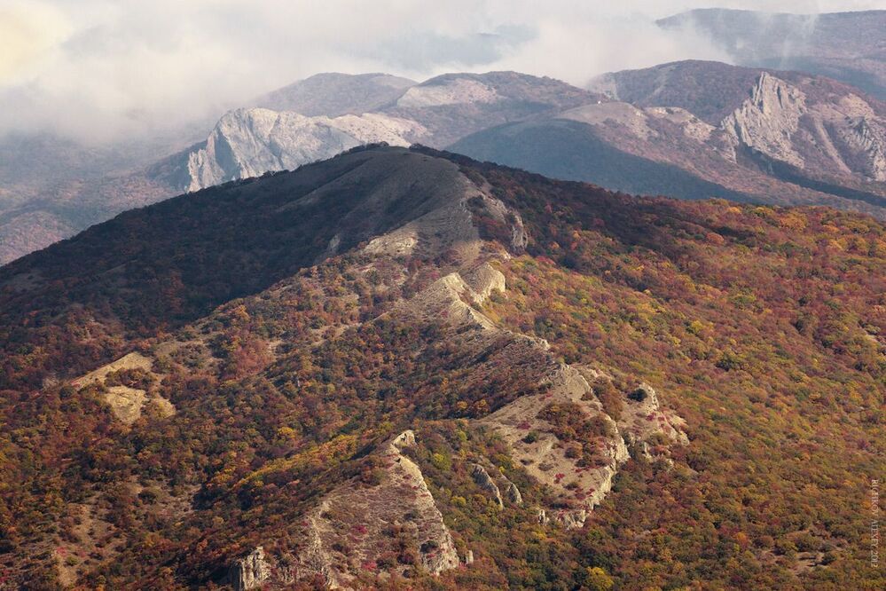 осенние краски