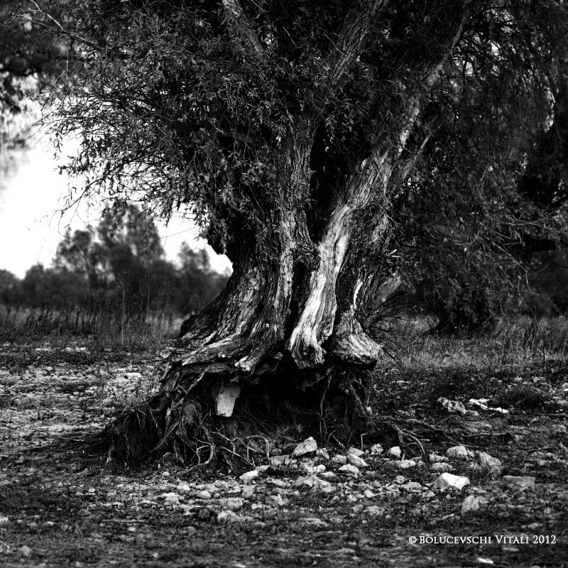 Nature on Halloween