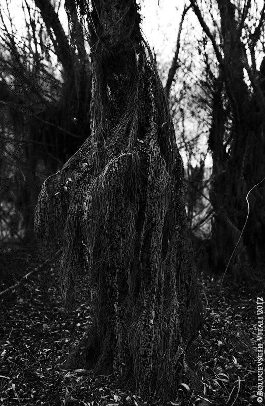 Nature on Halloween