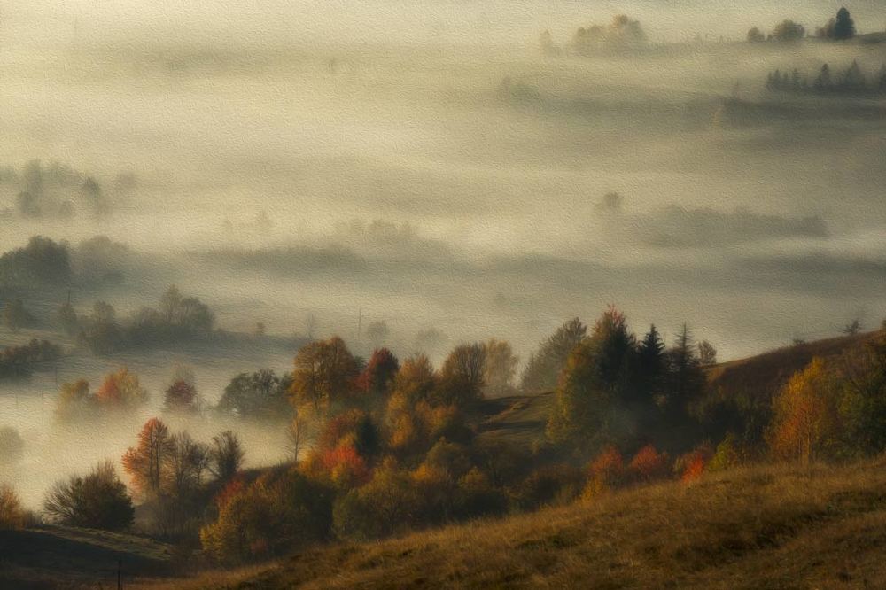 Foggy autumn