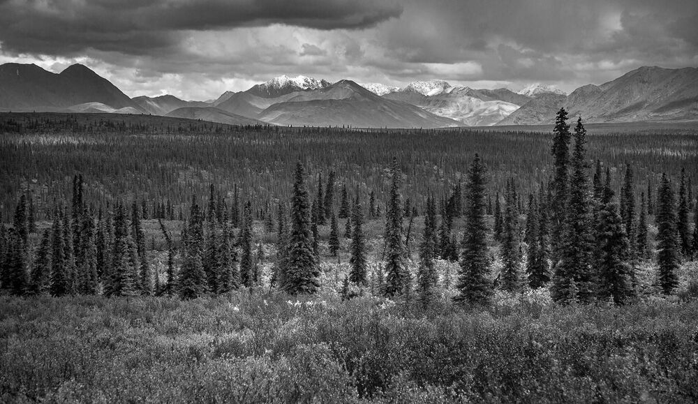 Alaska