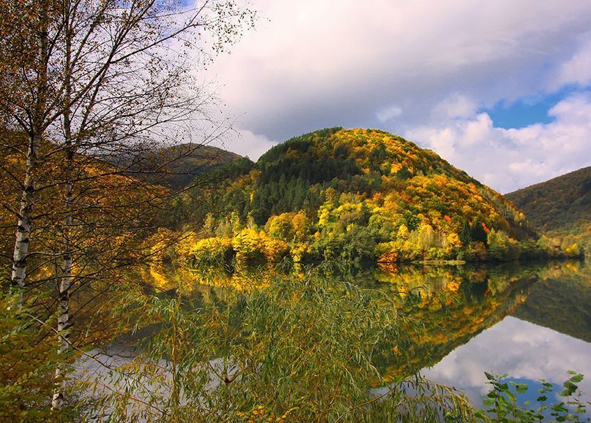 autumn reflections