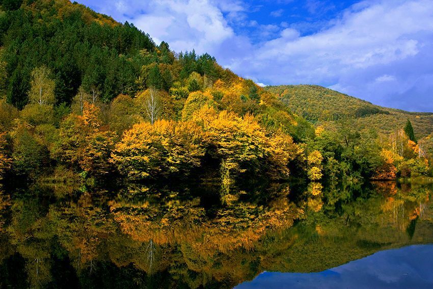 autumn reflections