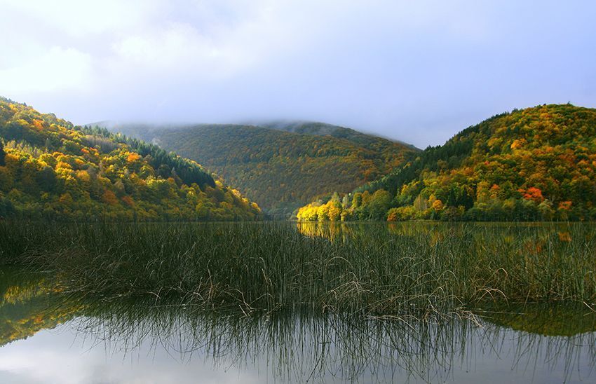 autumn reflections