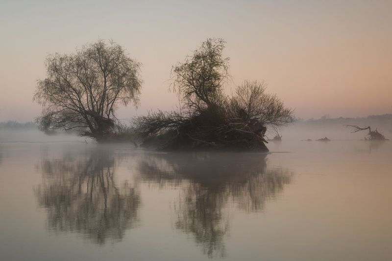 a foggy morning