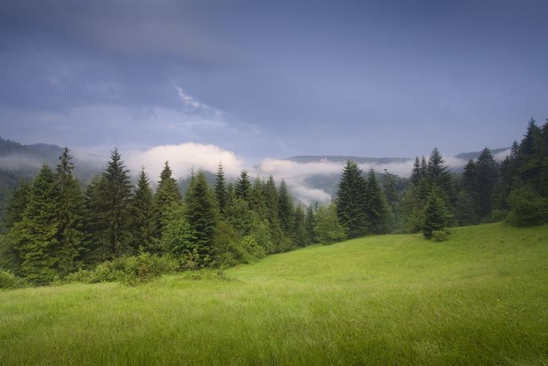 Gorce mountains