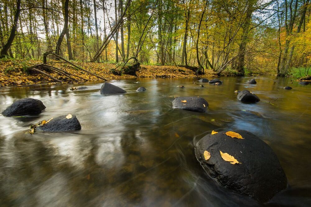 Осенние воды