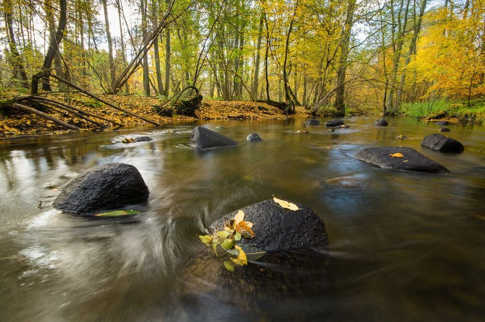 Осенние воды