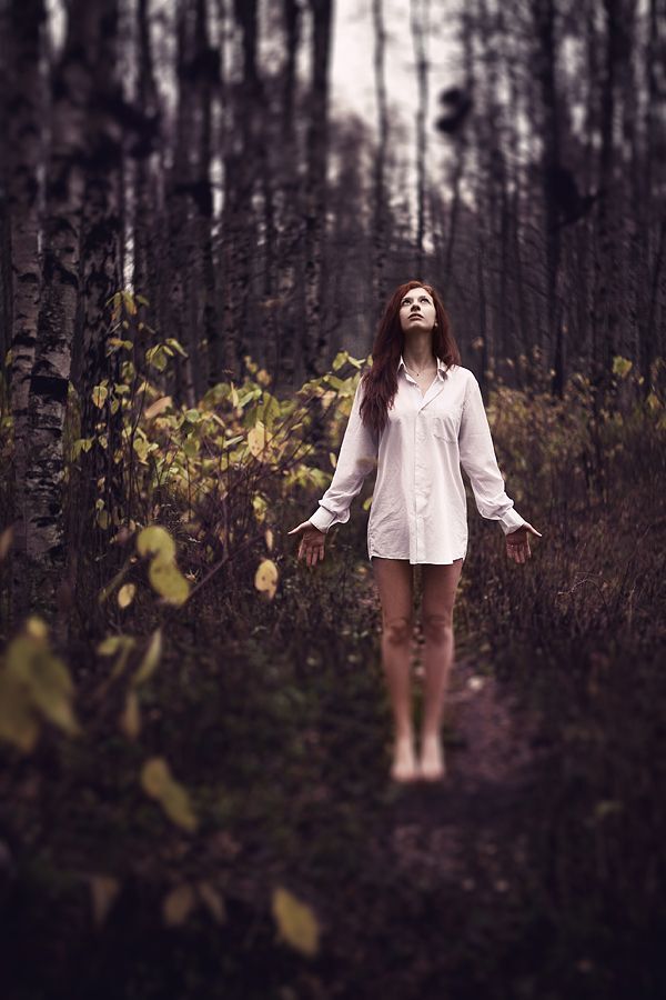 Photo 314742