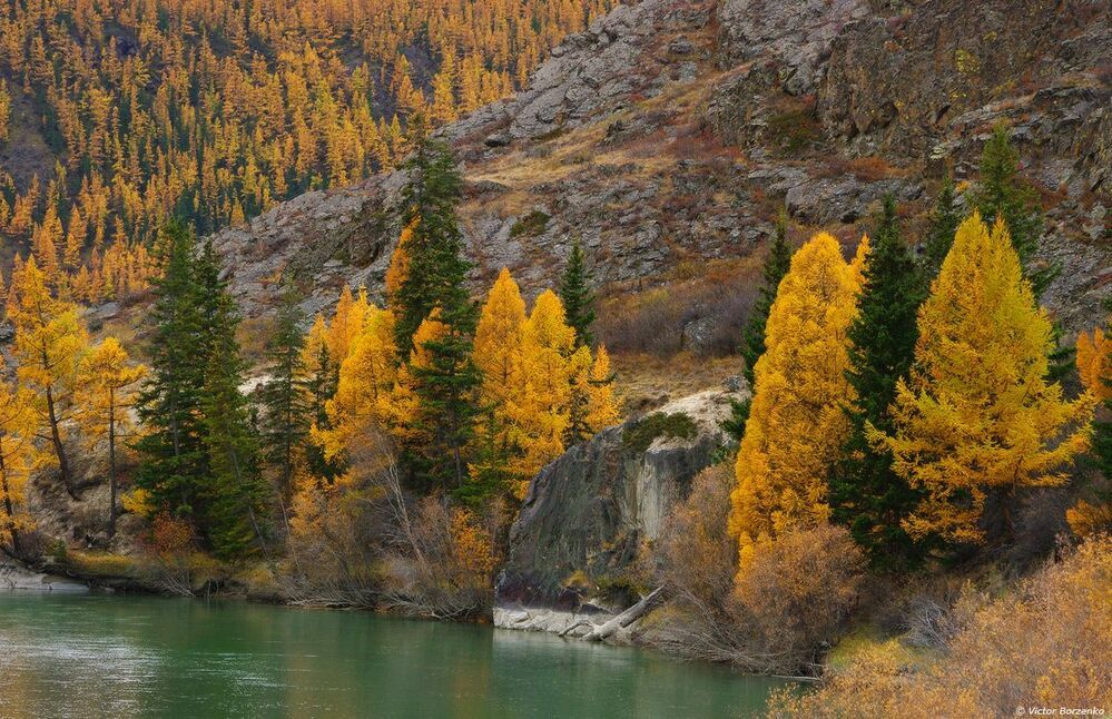 Чуйская осень