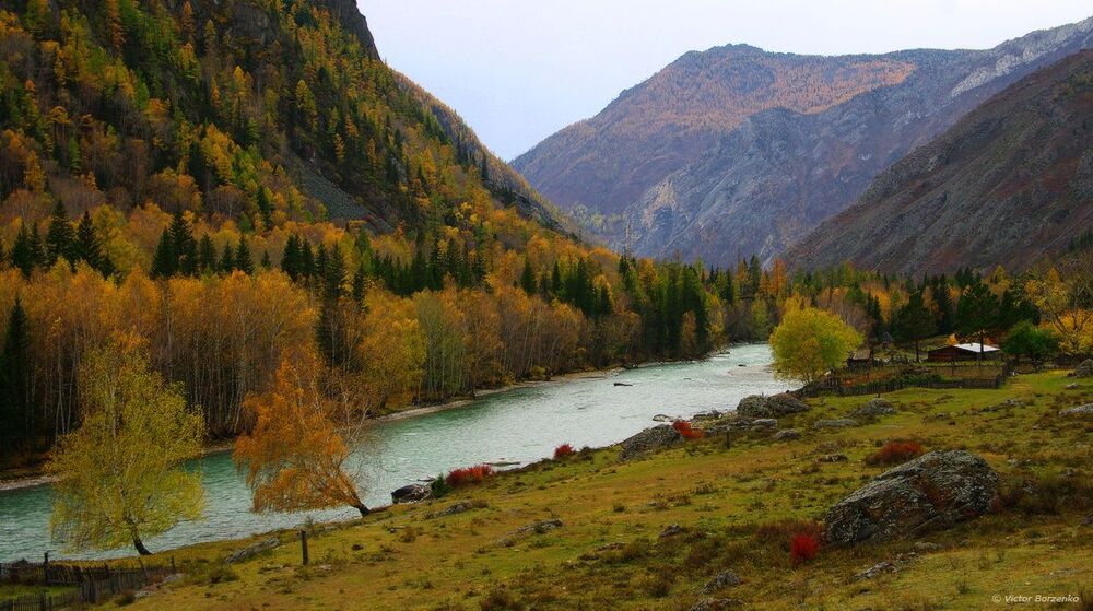 Чуйская осень