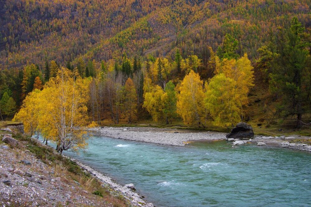 Чуйская осень