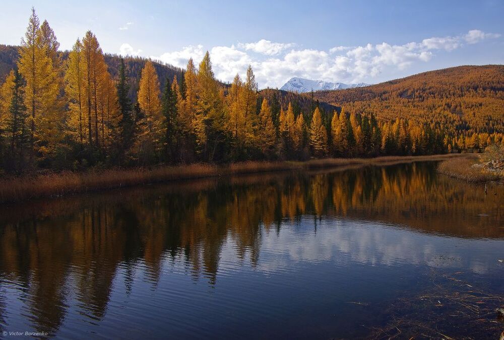 Чуйская осень (продолжение)