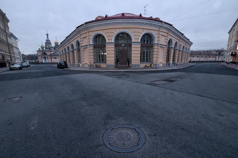 Две улыбки одного дома
