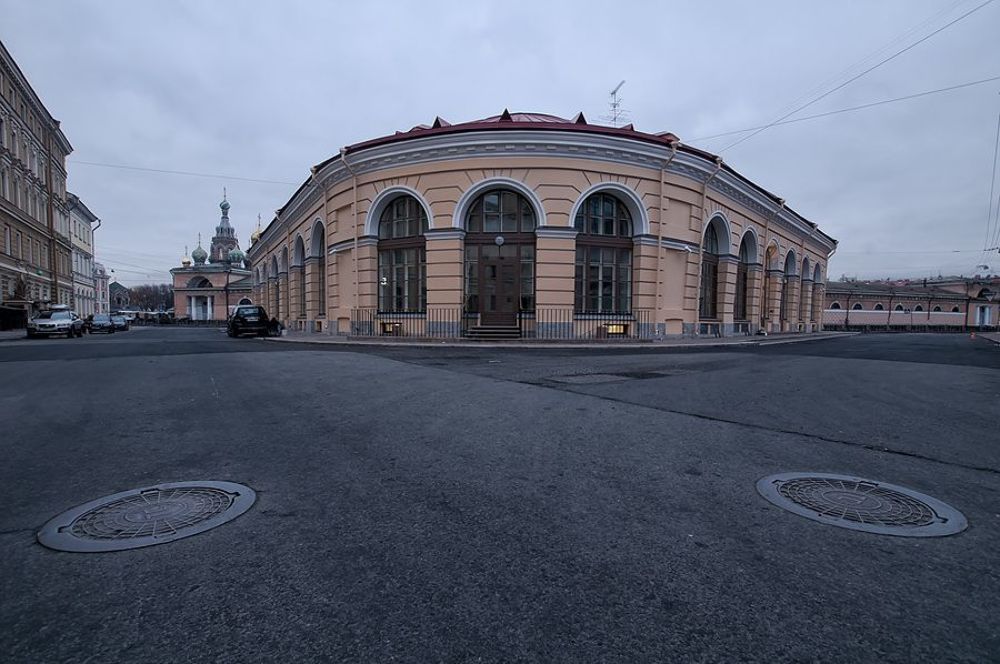 Две улыбки одного дома