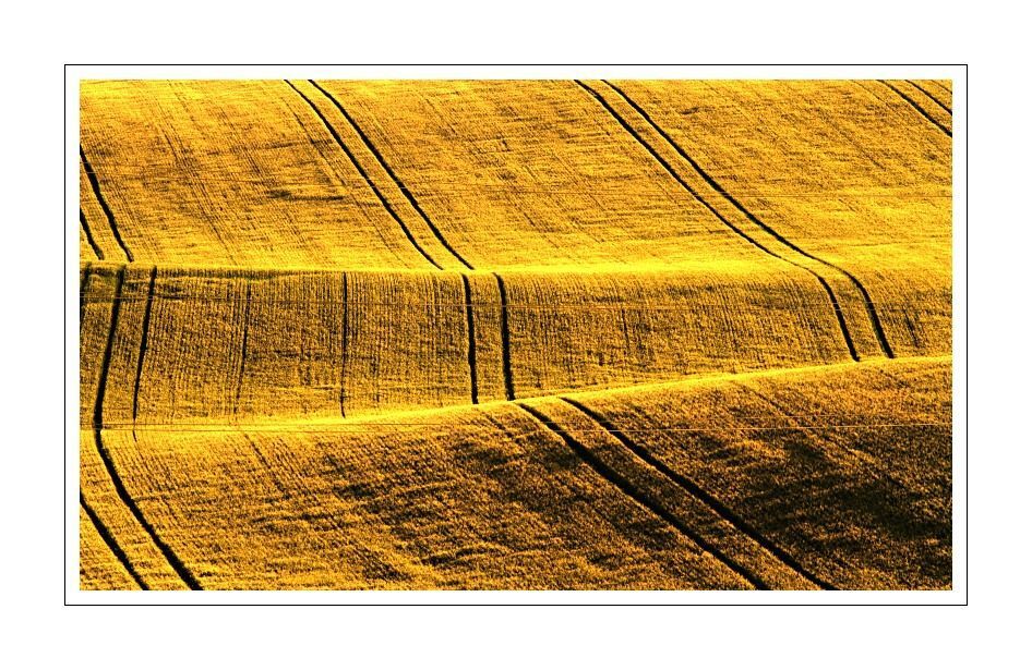 South Moravia