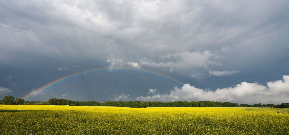 Rainy summer