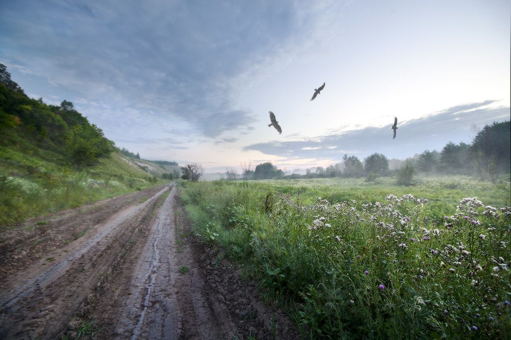 Ранняя дорога