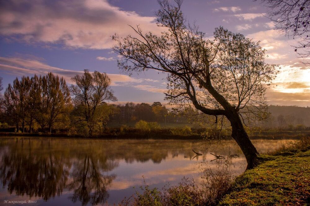 ****