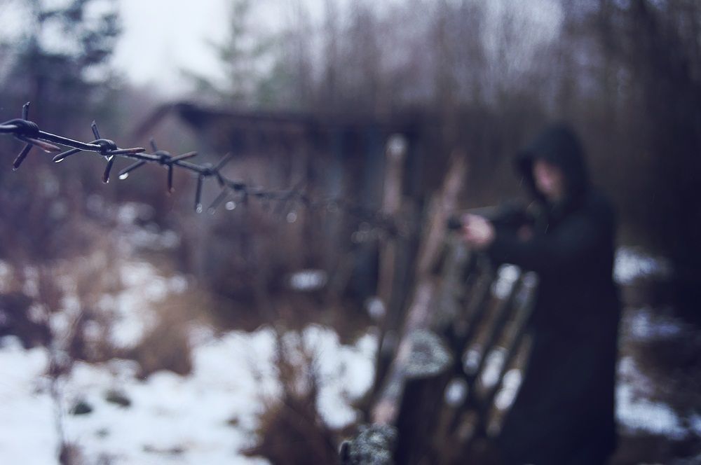 В Зоне Тумана