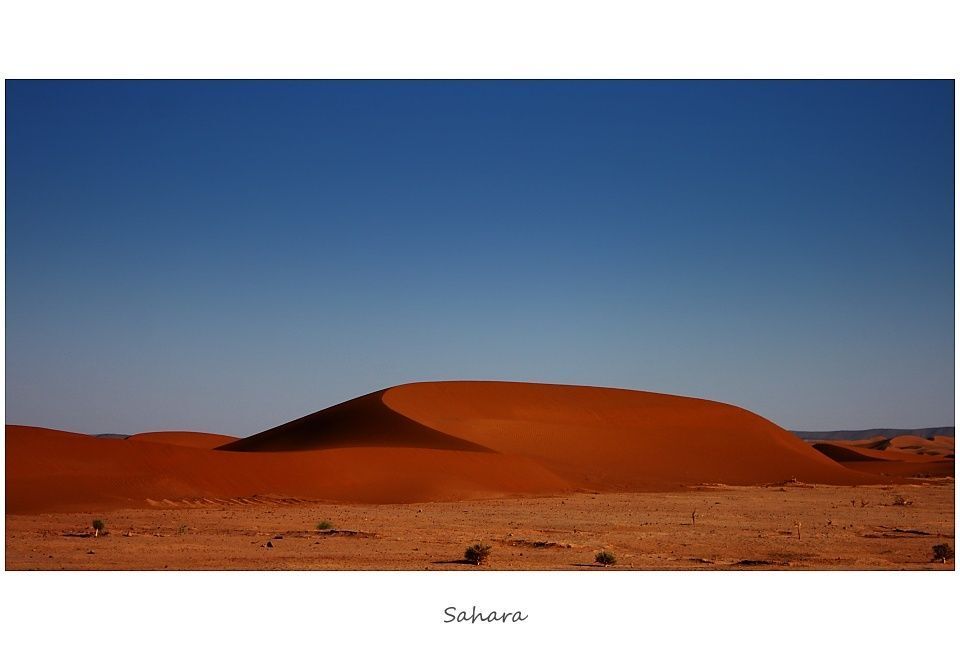 Sahara