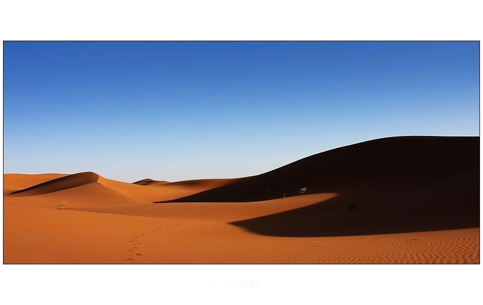 Sahara