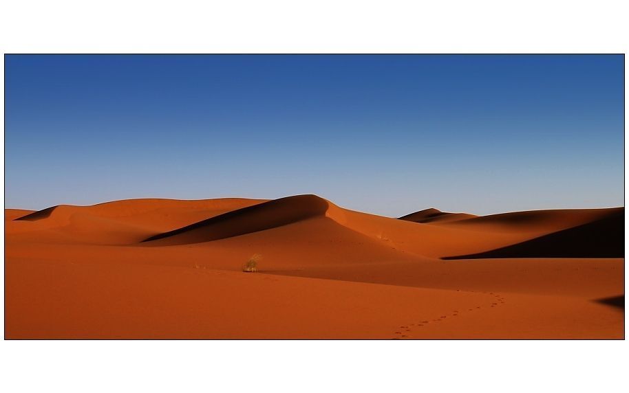 Sahara