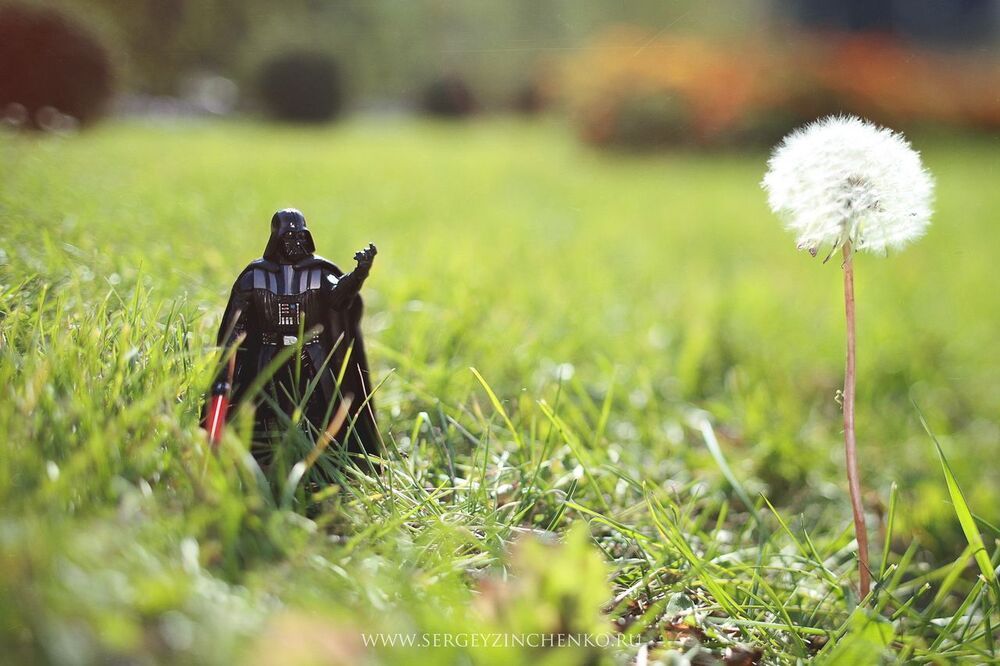 Darth Vader Chronicles