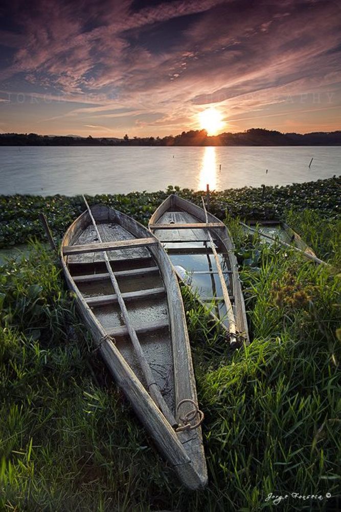 Jorge Fonseca Photography - Landscapes and Nature