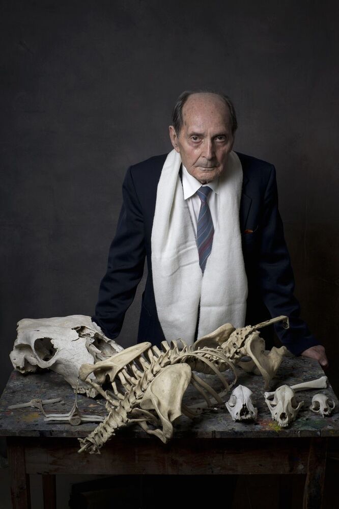 The Profesor II