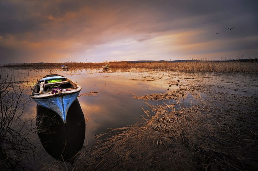* Golyazi 5 *