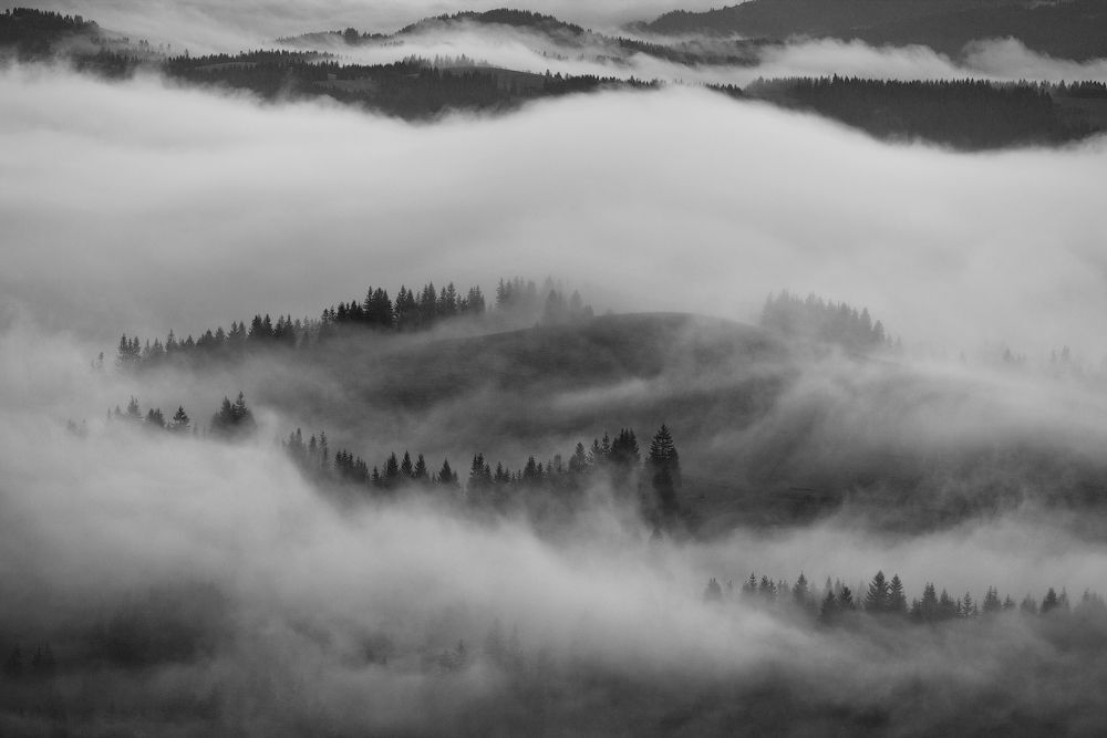 ...Fog...