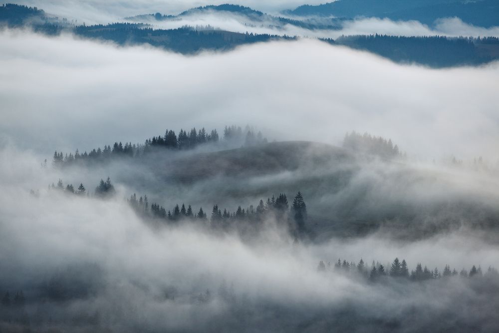 ...Fog...