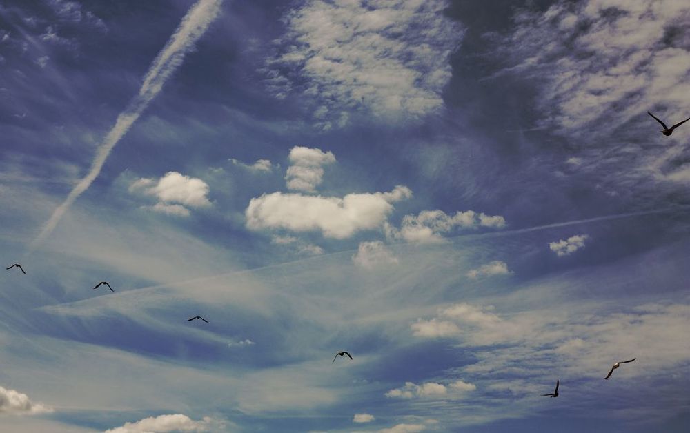 Sky's Paris