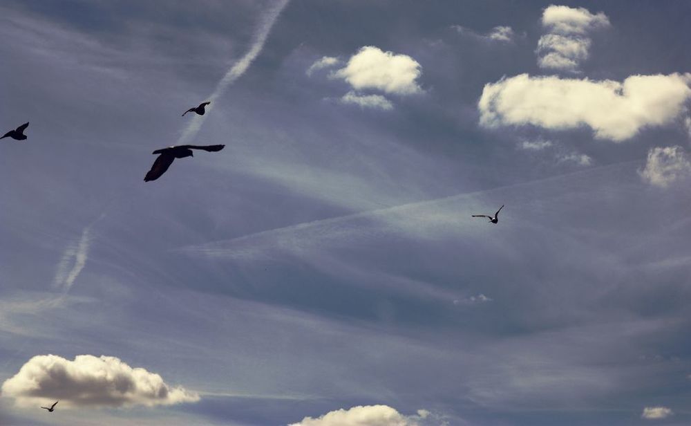 Sky's Paris