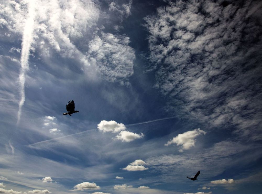 Sky's Paris
