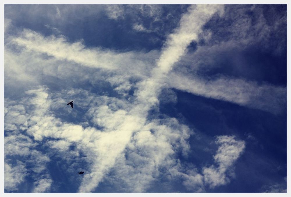 Sky's Paris