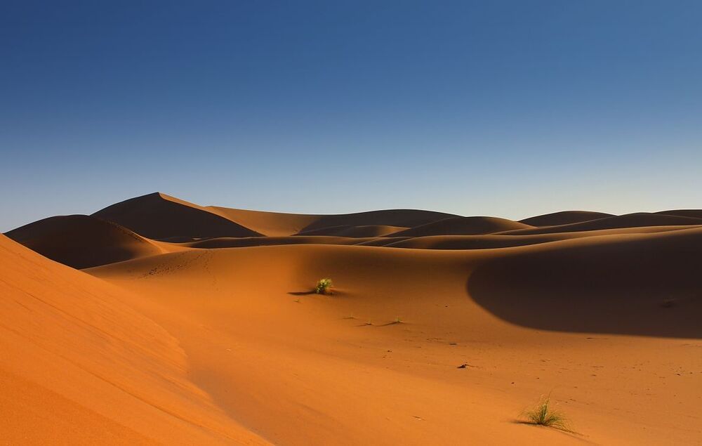 Sahara