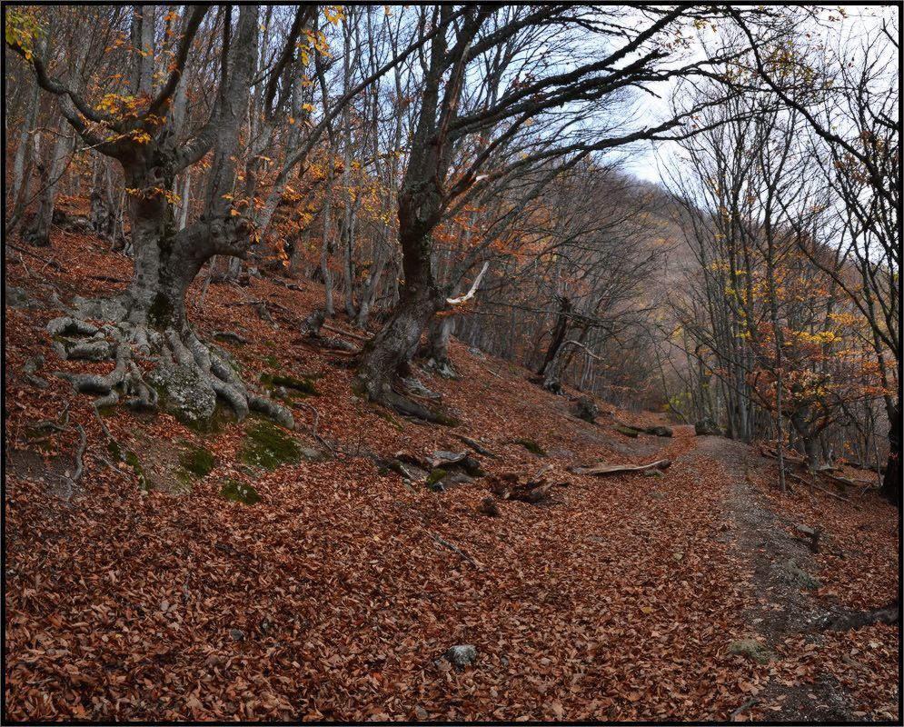 Ноябрь в Крыму