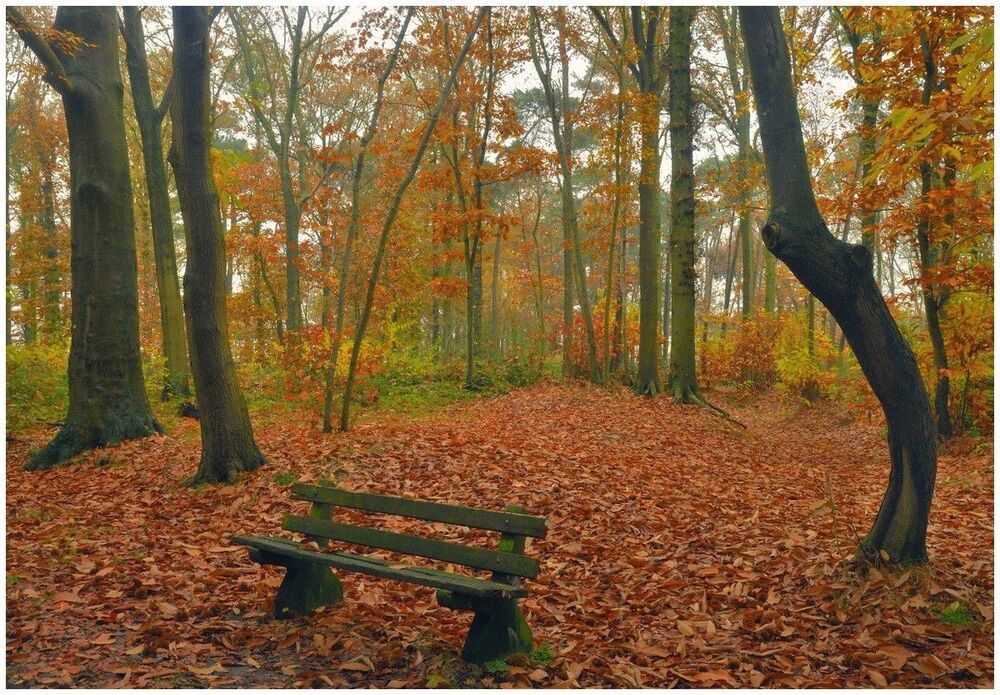 Colors of the autumn.