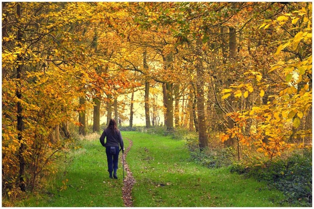Colors of the autumn.
