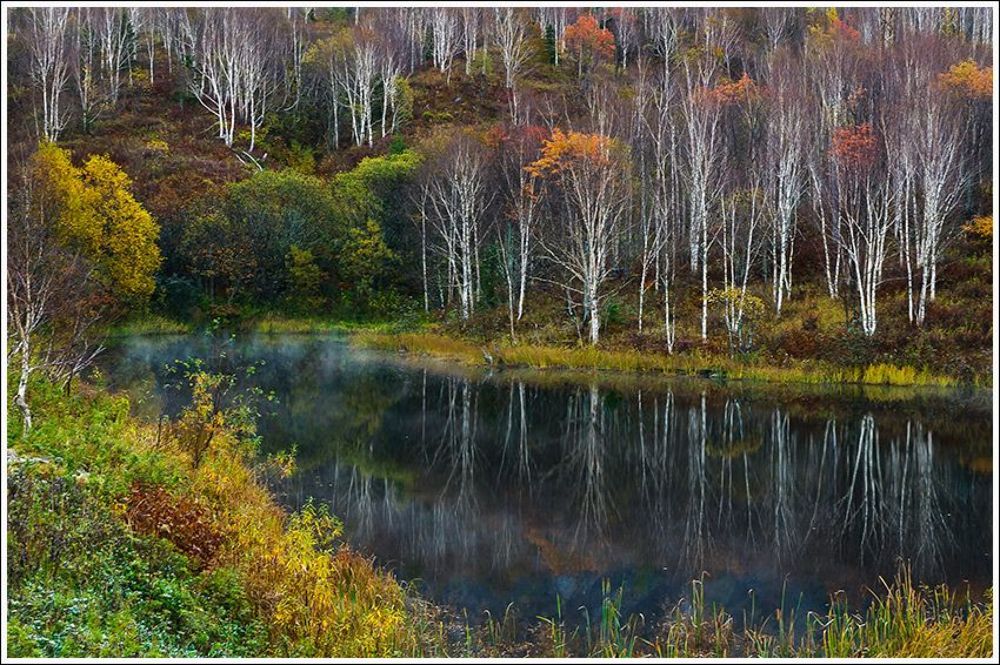 сахалинская осень