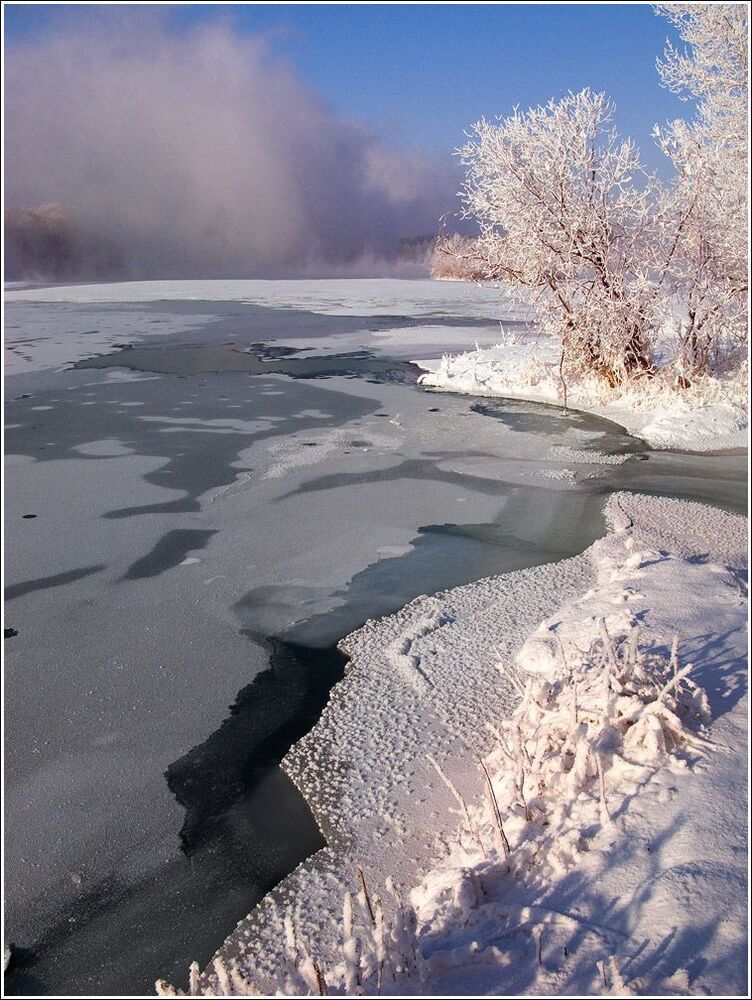 Морозно-розовое