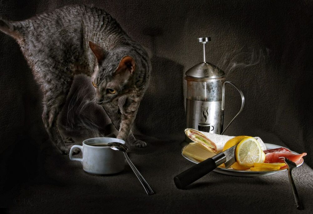 определение